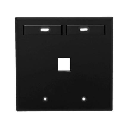Leviton 42080-1EP 1-Port Dual Gang QuickPort Wallp