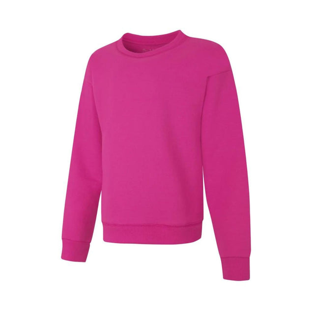 Hanes Big Girls ComfortSoft EcoSmart Girls' Fleece