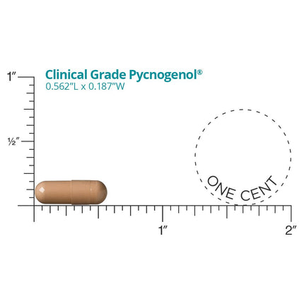 Pycnogenol de Grado Clínico del Dr. Whitaker (60 Cápsulas)