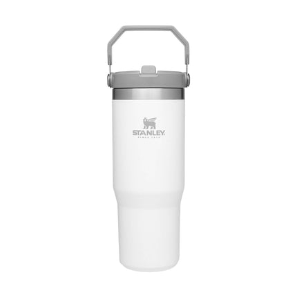 STANLEY IceFlow Stainless Steel Tumbler with Straw - Vacuum Insulated Water Bottle for Home, Office or Car - Reusable Cup with Straw Leak Resistant Flip - Cold for 12 Hours or Iced for 2 Days (Polar)