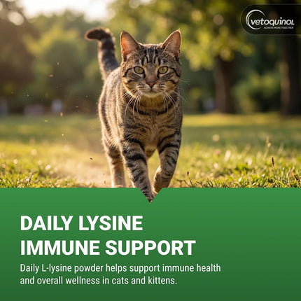 Vetoquinol Viralys Daily L-Lysine Powder for Cats and Kittens, Fish Flavored Lysine Supplement for Cats and Kittens to Support Immune Health, Normal Eye Function and Respiratory Health, 100gm