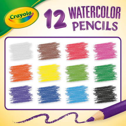CRAYOLA Classpack Watercolor Pencils, 240ct, 20 each of 12 Colors, Great for Classroom, Educational, Art Tools