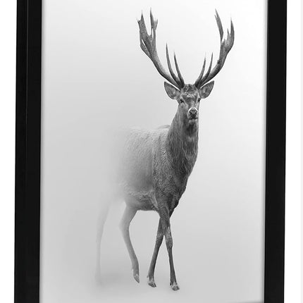 Americanflat 16x16 Poster Frame in Black with Polished Plexiglass - Horizontal and Vertical Formats with Included Hanging Hardware