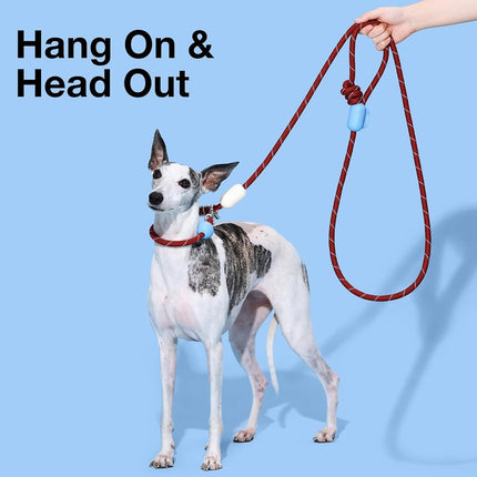 VETRESKA Hands-Free Dog Lead, 8FT Adjustable Rope Lead with Bag Dispenser