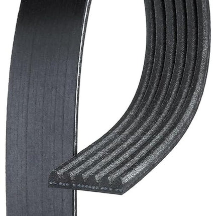 ACDelco 19355282, Correas de transmisión-GM