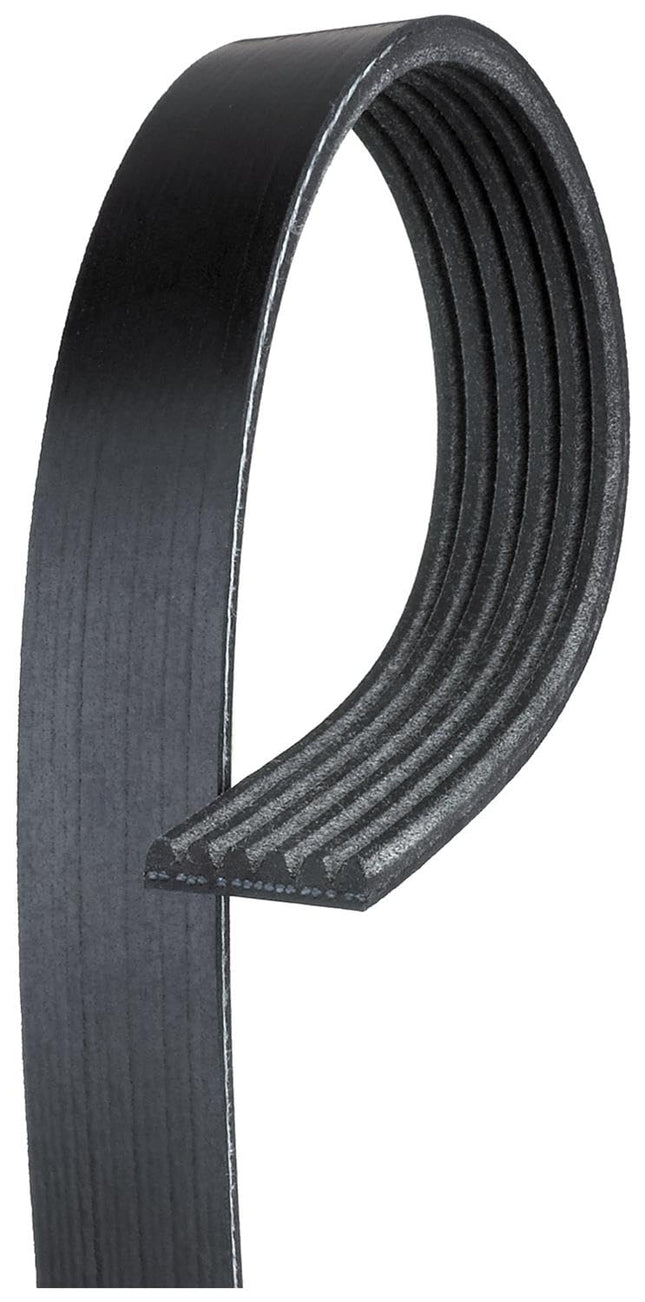 ACDelco 19355282, Drive Belts-GM