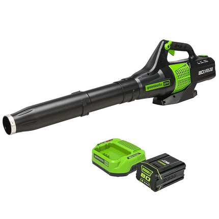 Greenworks 80V (150 MPH / 500 CFM / 75+ Compatible