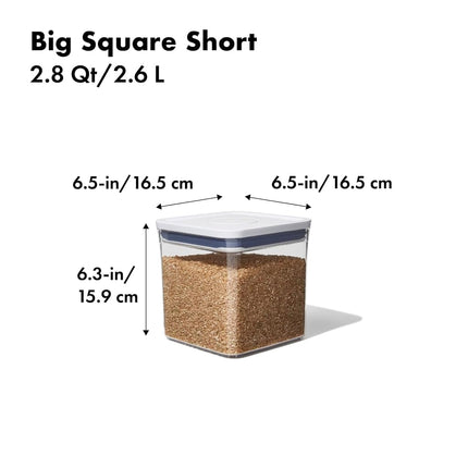 OXO Good Grips POP Container, Big Square Short 2.6 L