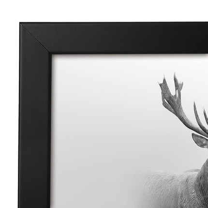 Americanflat 16x16 Poster Frame in Black with Polished Plexiglass - Horizontal and Vertical Formats with Included Hanging Hardware