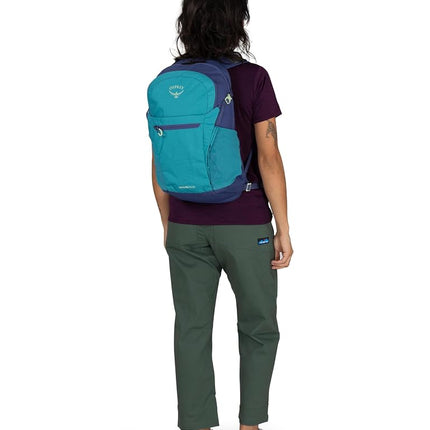 Osprey Daylite Plus Lifestyle Backpack, 20L, Green Belt/Green Canopy