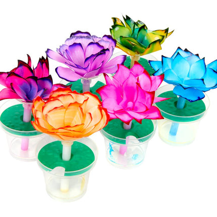 Crayola Kit de ciencia de flores de papel, flores que cambian de color, regalo para niños de 7, 8, 9, 10 años