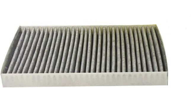 Bosch C3876WS Charcoal Cabin Air Filter