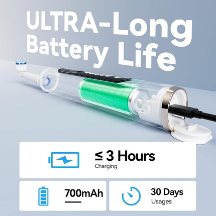 SEAGO Rechargeable Rotating Electric Toothbrush with 8 Brush Heads, 5 Cleaning Modes, Timer and Travel Case for Adults and Kids, Beige