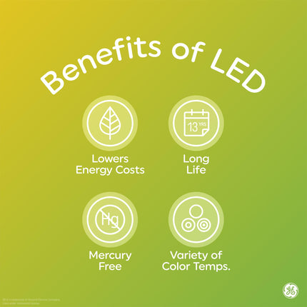 GE LED Light Bulbs, 40 Watt, Soft White, Decorative Bulbs, Frosted, Small Base (2 Pack)