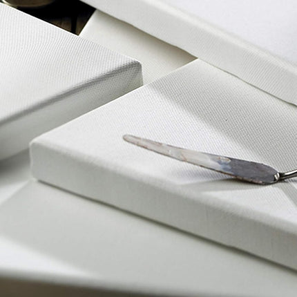 Winsor & Newton 8 x 10-Inch Professional Cotton Traditional Canvas Single unit