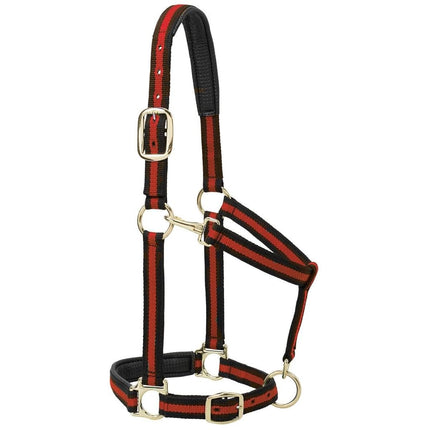 Weaver Leather 1" Small Horse/Weanling Draft Padded Chin & Throat Snap Halter, Blue, Adjustable