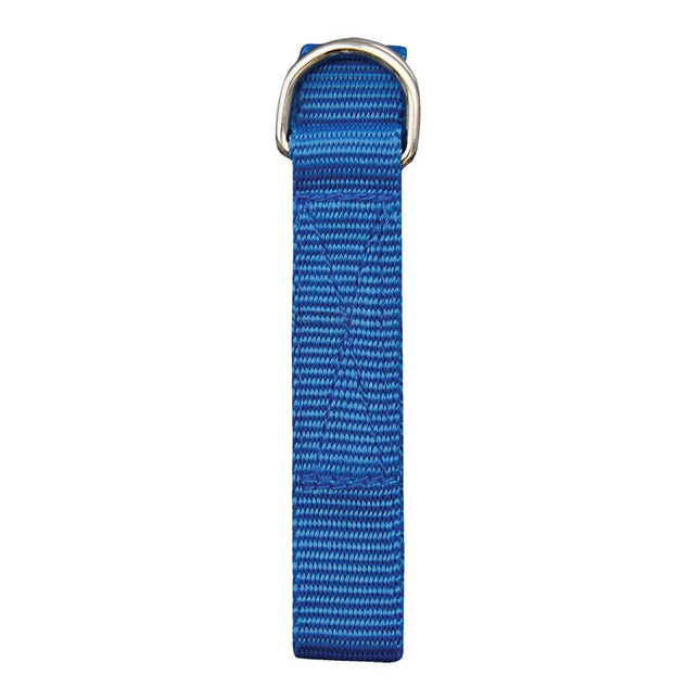 Champro Poly Pro Web Belt (Royal, 1-Inch)