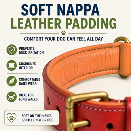 DowgClub Leather Dog Collar | Leather Collar for Large Dogs, 1.25 Inch Wide Red Dog Collar | Genuine, Full Grain, Heavy Duty, Comfortable, Inner Soft Padding (L (Neck Size 18.5"-22.5"), Red)