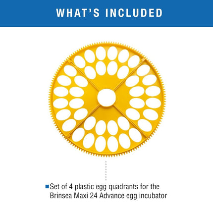 Brinsea Small Egg Quadrant Insert for Maxi Advance Incubator System, Fits 40 Pheasant or Quail-Size Eggs
