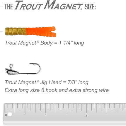 Kit Néon Trout Magnet Leland Lures 87659 - 70 corps de grub et 15 hameçons taille 8.
