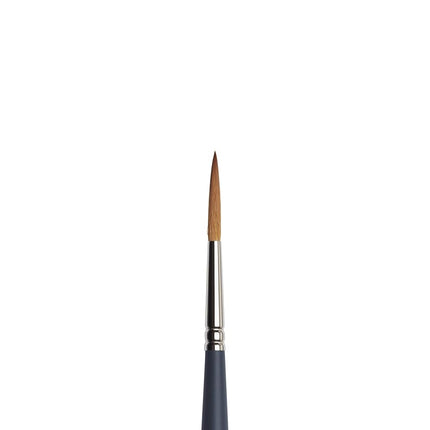 Winsor & Newton 5011306 Professional Watercolour Brush, Painting Brush for Watercolours with Synthetic Fibres, Ergonomic Handle, Durable & Dimensionally Stable, Short Handle, Rigging Brush No. 6