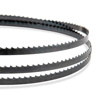 Cuchillas de sierra de cinta POWERTEC de 62 pulgadas, hojas de sierra de cinta de 3/8" x 10 TPI para sierras de cinta Wen, Ryobi, Grizzly, Skil, Sears Craftsman y POWERTEC de 9" para carpintería, paquete de 2 (13134-P2)