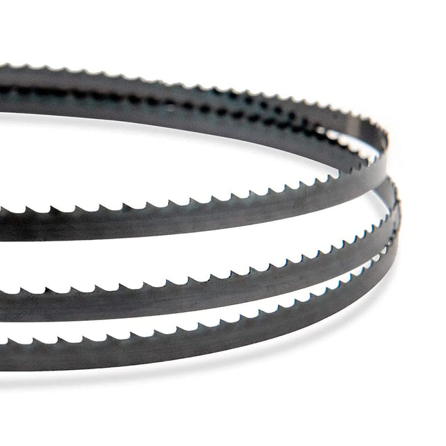 POWERTEC 62 Inch Bandsaw Blades, 3/8" x 10 TPI Band Saw Blades for Wen, Ryobi, Grizzly, Skil, Sears Craftsman and POWERTEC 9" Band Saw for Woodworking, 2 Pack (13134-P2)