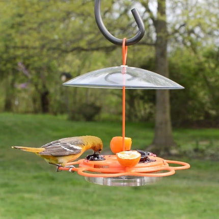 Nature’s Way Multi-Station Oriole Feeding Center with Ant Moat & Weather Baffle, Metal & Plastic Wild Bird Feeder, 12 oz Nectar Capacity, Orange