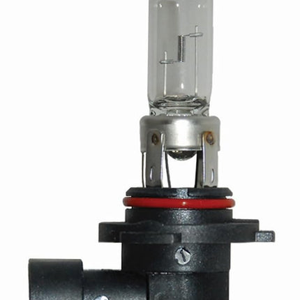HELLA (9005) 12V Bulb