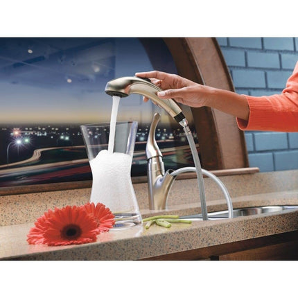 Moen 67315SRS Integra One-Handle Low Arc Pullout Kitchen Faucet, Spot Resist Stainless