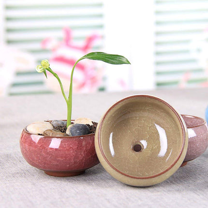 My Decor Succulent Plant Pot, 12 Pcs 2.5 Inch Ceramic Ice Crack Cactus Plant Pot/Flower Pot/Container/Planter