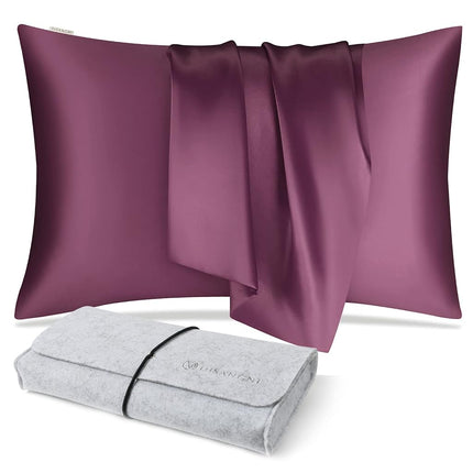 DISANGNI 100% Natural Mulberry Silk Pillow case fo