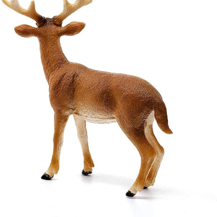 Schleich Wild Life - White-Tailed Buck Toy Figurine - Kids Ages 3+ | 14818