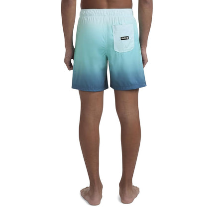 Hurley Boys' Pull on Swim Trunks, Mint Candy Ombre, 2T