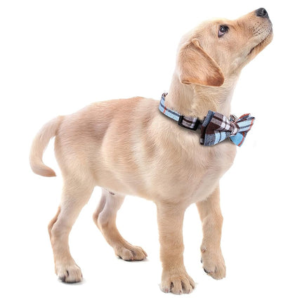 Faleela Soft &Comfy Bowtie Dog Collar,Detachable and Adjustable Bow Tie Collar,for Small Medium Large Pet (L, Blue)
