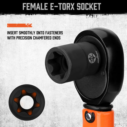 HORUSDY 31-Piece Torx Bit Socket and Female External Socket Set | 14 Star Bits (T8- T70) and 12 Female E-Torx Sockets (E4-E24) | 4 Impact Socket Adapter Set