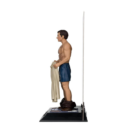 McFarlane - The 40 Year Old Virgin - Movie Maniacs - 6" Andy Stitzer Posed Figure