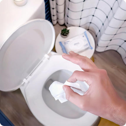 Squatty Potty Flushable Wipes - 6 Packs of 50 (150 Total Wet Wipes)