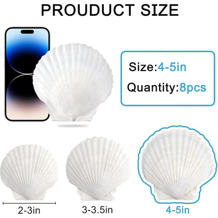 SINKOO 8PCS Large Scallop Shells 4"-5", Natural White Seashells for Crafts