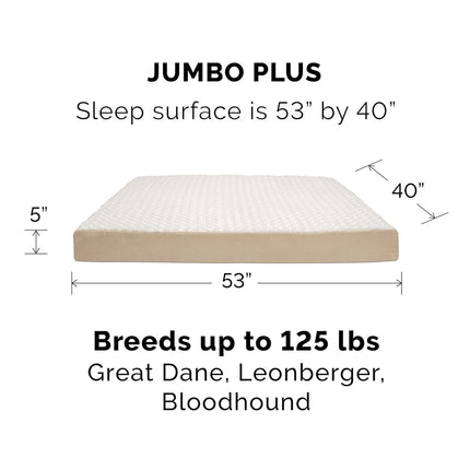 Furhaven Replacement Dog Bed Cover Ultra Plush Faux Fur & Suede Mattress, Machine Washable - Cream, Jumbo Plus (XX-Large)