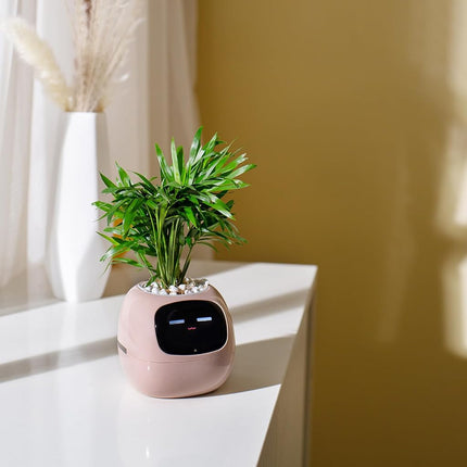 PLANTSIO Smart pet Planter Robot Guidance on Plant Care with Emojis, Adorable Plant Companion with Rich Gesture Interaction, Neat Desk Setup Gift (Rose)