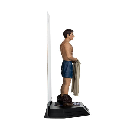 McFarlane - The 40 Year Old Virgin - Movie Maniacs - 6" Andy Stitzer Posed Figure