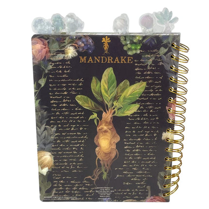 Innovative Designs Harry Potter Tab Journal Notebook, Herbology - Spiral Bound, 144 Lined Pages, 8 x 7 inches