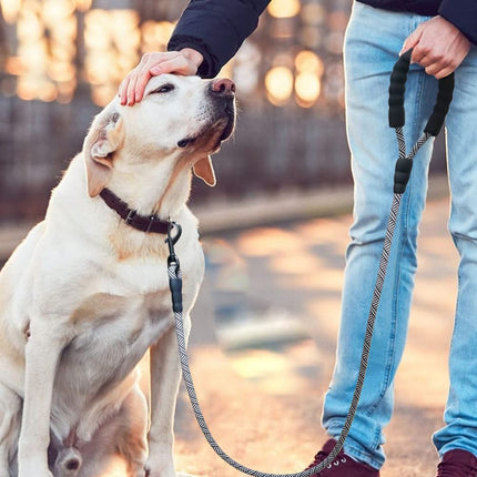 MayPaw Heavy Duty Rope Dog Lead, 3/4/6/7/8/10/12/15 FT Nylon Pet Leash, Soft Padded Handle Thick Lead Leashes for Large Medium Dogs Walking Jogging (Pink-blue Dot, 1/2" * 10')