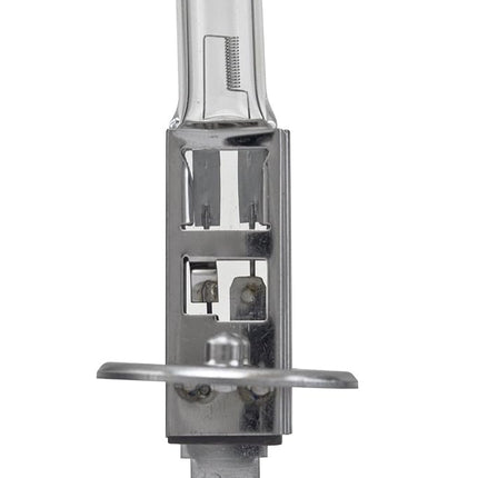 HELLA H1LL Long Life Bulb, 12V, 55W
