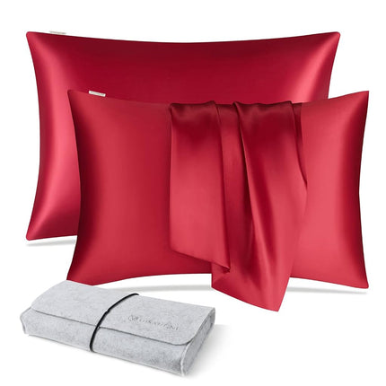 DISANGNI 100% Natural Mulberry Silk Pillow case fo