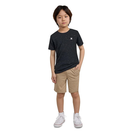 Hurley Boys' Soft Basic Cloud Slub T-Shirt, Carbon, Medium