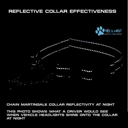 Max and Neo Stainless Steel Chain Martingale Collar - We Donate a Collar to a Dog Rescue for Every Collar Sold (X-Small, Purple)