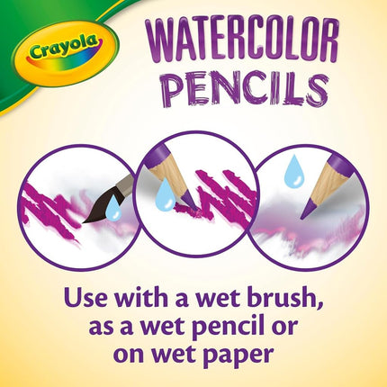 Crayola 24ct Watercolor Colored Pencils