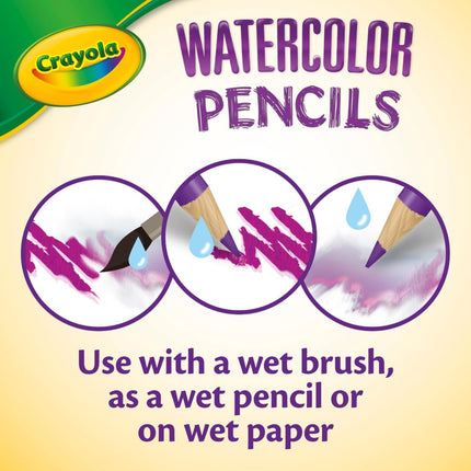 Crayola 24ct Watercolor Colored Pencils